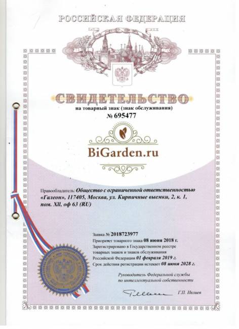 Двойное подвесное кресло "Gemini" promo white Красная подушка